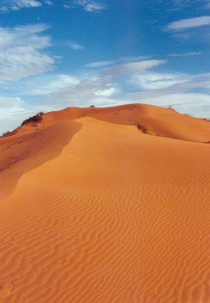 The magnificient Big Red on the border of the Simpson Desert