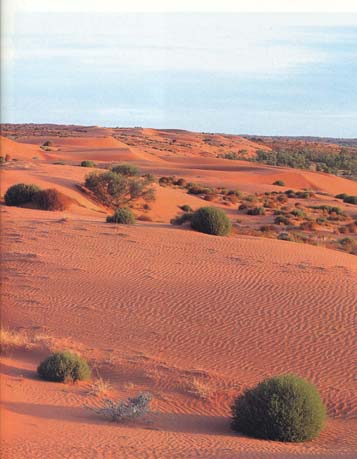 The Beautiful red landscape of the Simpson III